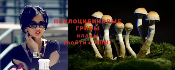трава Балахна