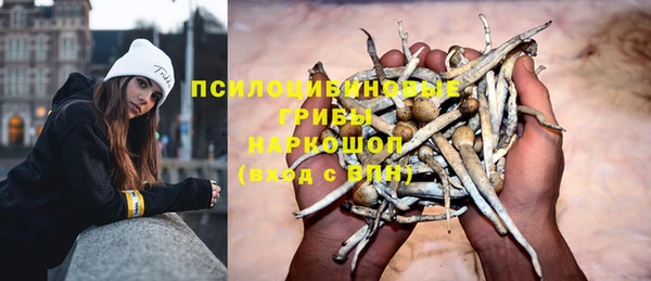 мяу мяу мука Баксан
