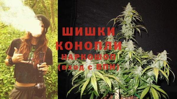 трава Балахна