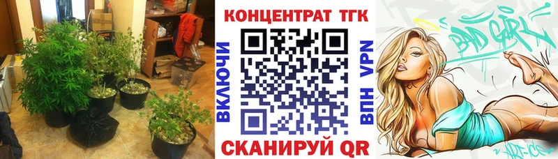 где можно купить наркотик  Реутов  hydra ONION  ТГК THC oil 