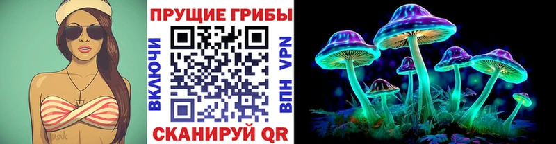 Галлюциногенные грибы Cubensis Реутов